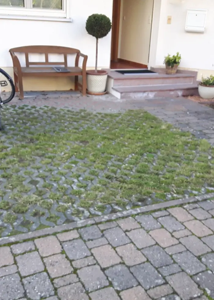 Vorgarten mit gepflastertem Weg, Rasen zwischen den Pflastersteinen, Holzbänken und Topfpflanzen vor einem Hauseingang
